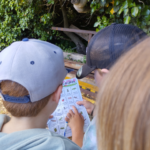 chasse-aux-insectes-770x1024