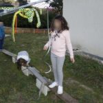 d968f007-ff6a-4b5a-a608-d02b42410a40